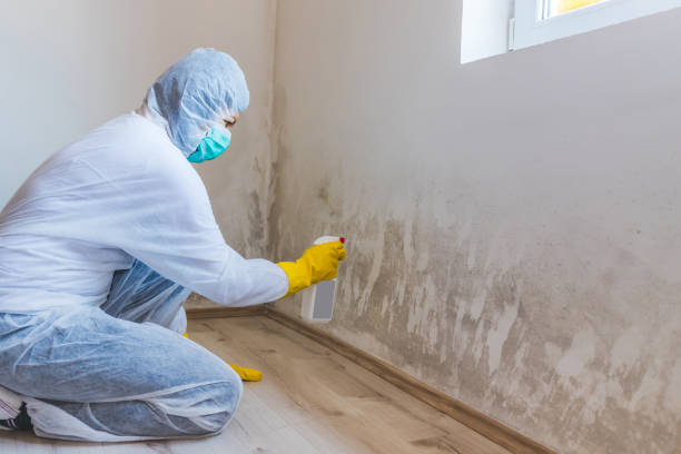 Mold Remediation specialist working in Thomasville