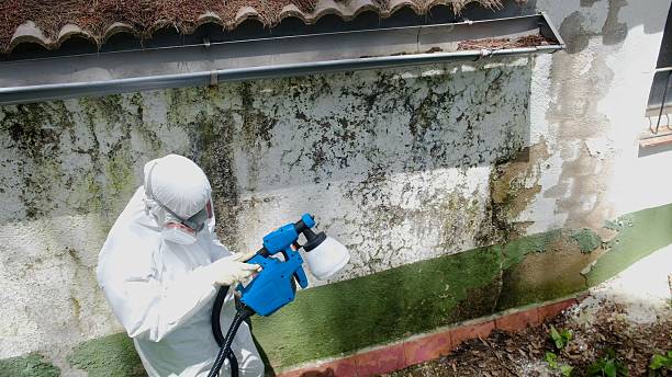 Mold Remediation service in Thomasville, Thomasville, PA